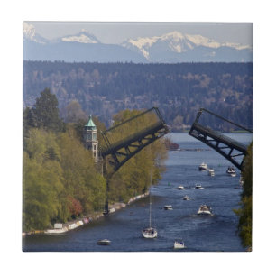 Montlake Brücken-und Kaskaden-Berge Fliese