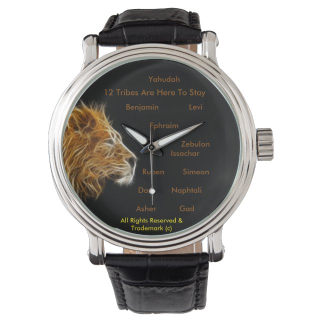 Montre 12 Tribus Watch(c) (devant)