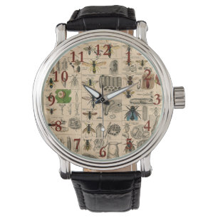Montre Abeille Insecte Bug Wasp Histoire naturelle abeill