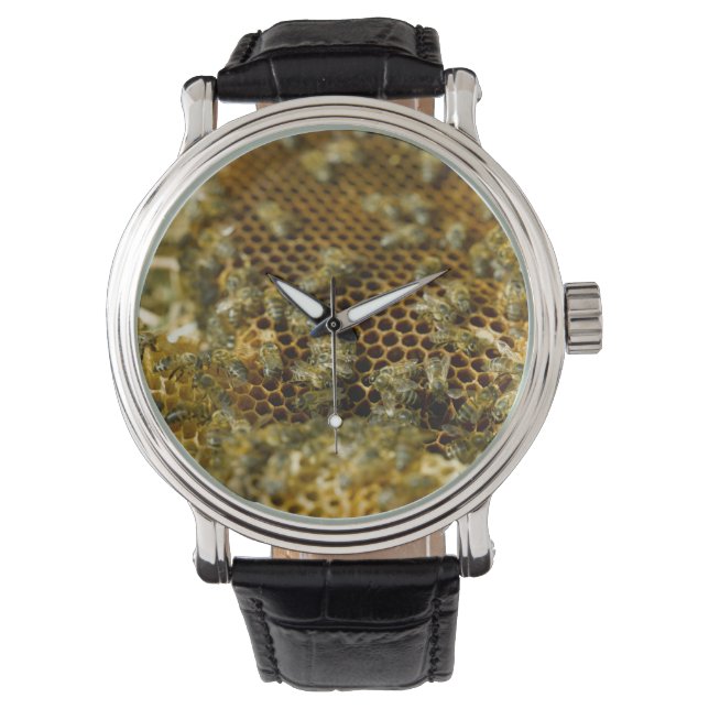 Montre Abeilles Dans La Ruche, Cap Occidental, Afrique Du (devant)