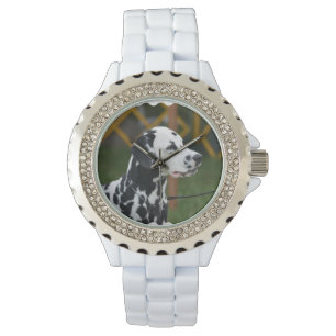Montre adorable Dalmatien