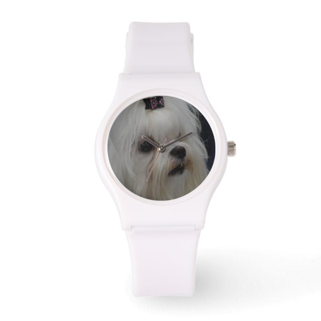 Montre Adorable maltais (Recto)