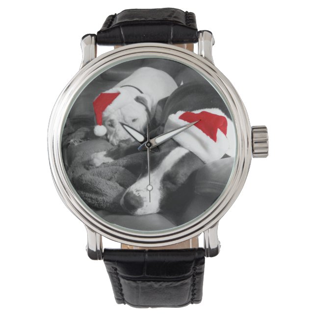 Montre adorable pitbull chiots endormis Noël père Noël (devant)