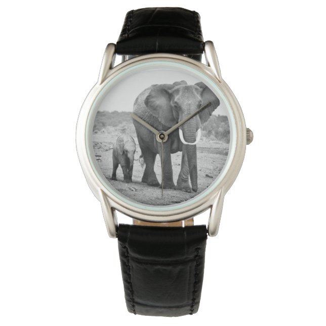 Montre African Elephant & Calves | Kenya (devant)
