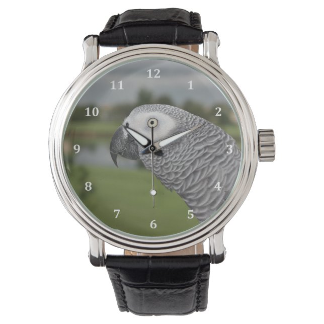 Montre African Grey Lakeside (devant)