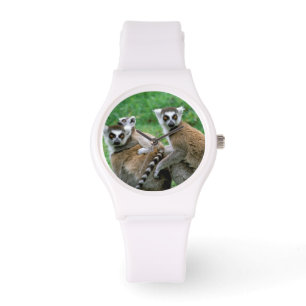 Montre Afrique, Madagascar, Antananarivo, Tsimbazaza