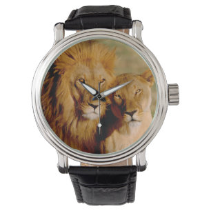 Montre Afrique, Namibie, Okonjima. Lion & lionne