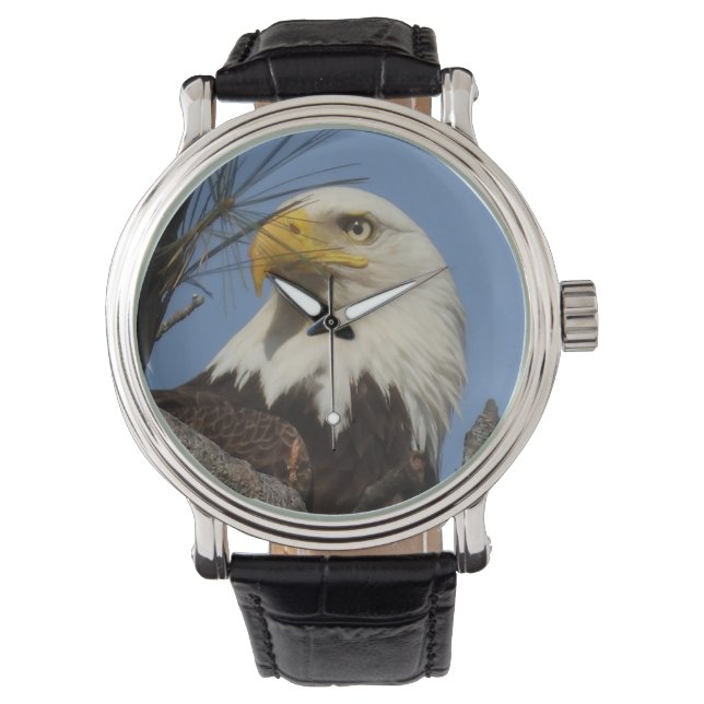Montre Aigle à chaudes matures (devant)