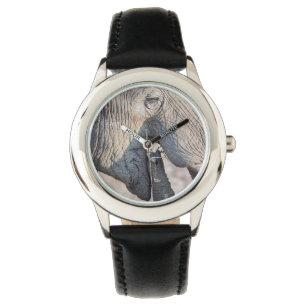 Montre Alimentation des éléphants