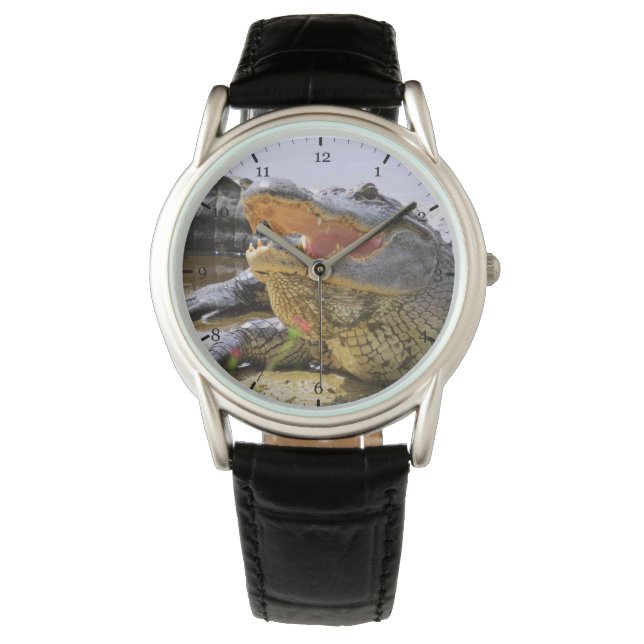 Montre Alligator (devant)