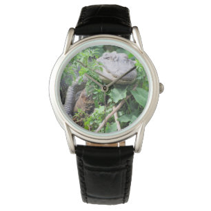 Montre Alligator - Choisissez Votre Style Lors De