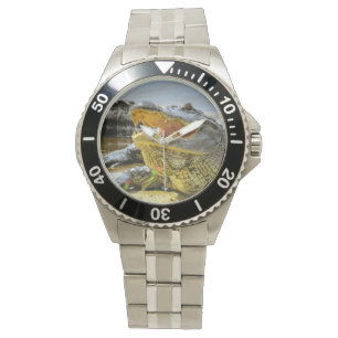 Montre Alligator. Face à face.