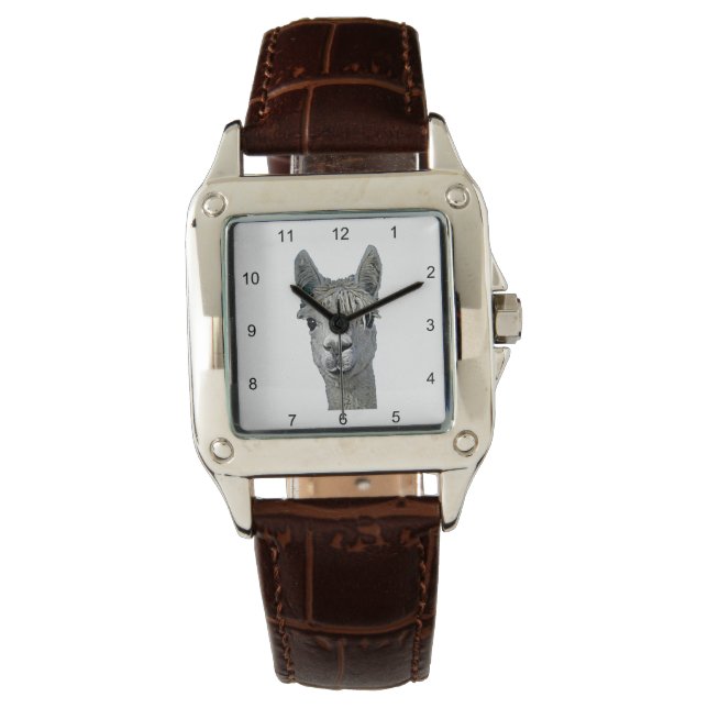 Montre Alpaca Alpakka Alpaka Alpaga (devant)