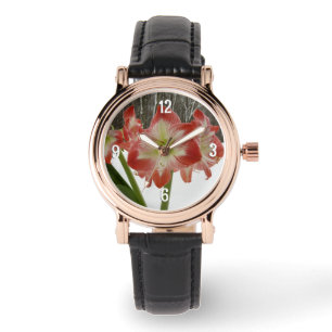 Montre Amaryllis en Fête Rouge Neige Hiver Floral