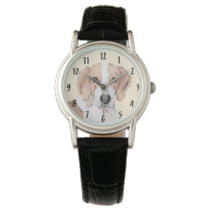 Montre American Foxhound Painting - Joli art original chi
