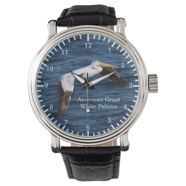 Montre American Great White Pélican (devant)