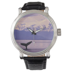 Montre Amérique du Nord, États-Unis, Alaska, Passage Inté