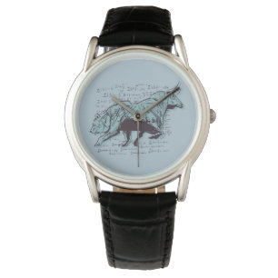 Montre Analyse du marché stock Finances