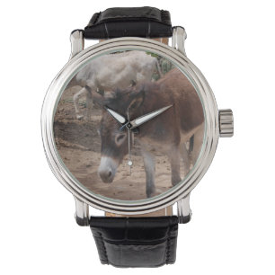 Montre Ânes sauvages