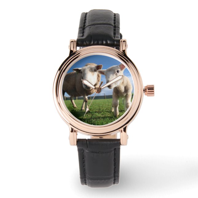 Montre Animaux de bébés cutest | Agneau nouveau-né & mama (Recto)