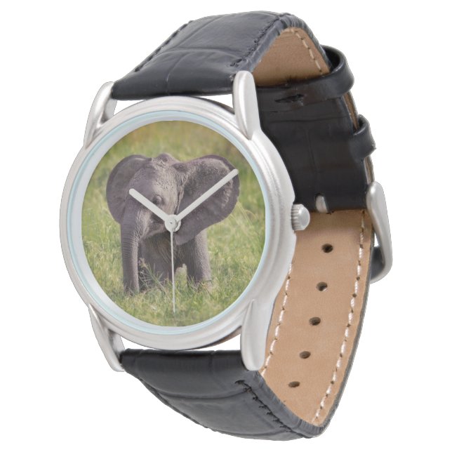 Montre Animaux de bébés cutest | Baby Elephant Kenya Afri (Incliné)