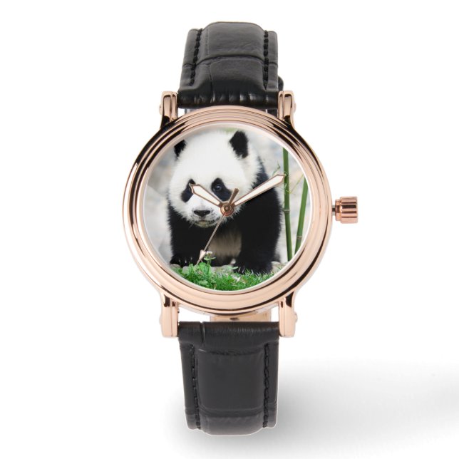 Montre Animaux de bébés cutest | Baby Panda Bear (Recto)