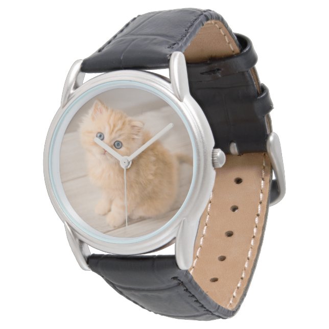 Montre Animaux de bébés cutest | British Longhair Kitten (Incliné)
