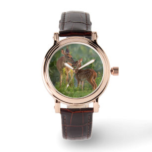 Montre Animaux de bébés cutest   Cerf et bébé
