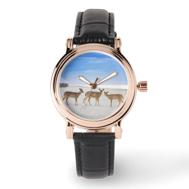 Montre Animaux de bébés cutest | Cerfs sur la plage (Recto)