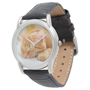 Montre Animaux de bébés cutest Chat de gingembre dorman