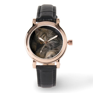 Montre Animaux de bébés cutest   Chat Tabby Dormant