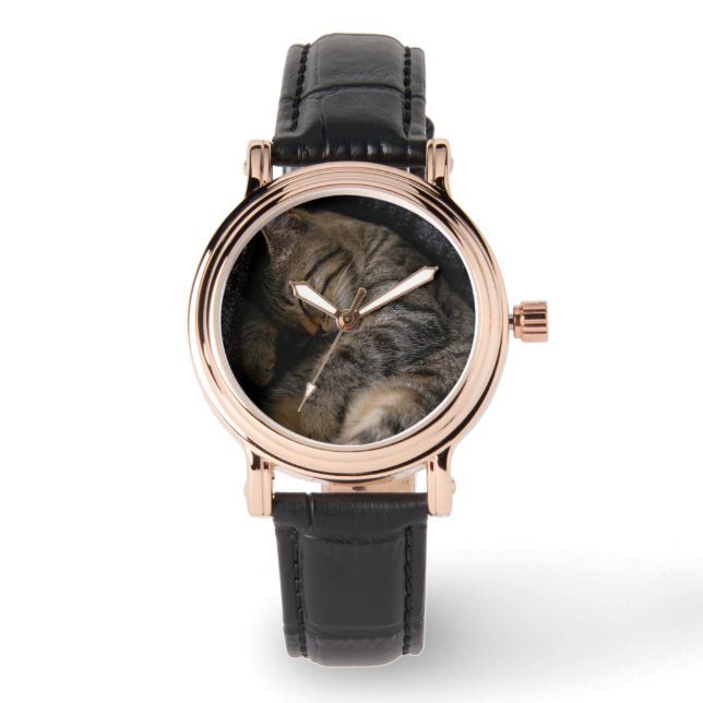 Montre Animaux de bébés cutest | Chat Tabby Dormant (Recto)
