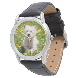 Montre Animaux de bébés cutest Chien Westin en Dandelio