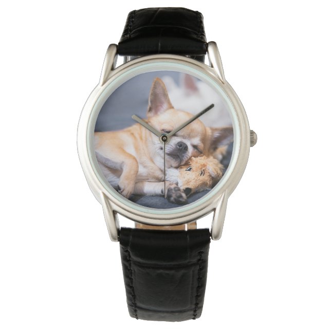Montre Animaux de bébés cutest | Chihuahua Chig aux cheve (devant)