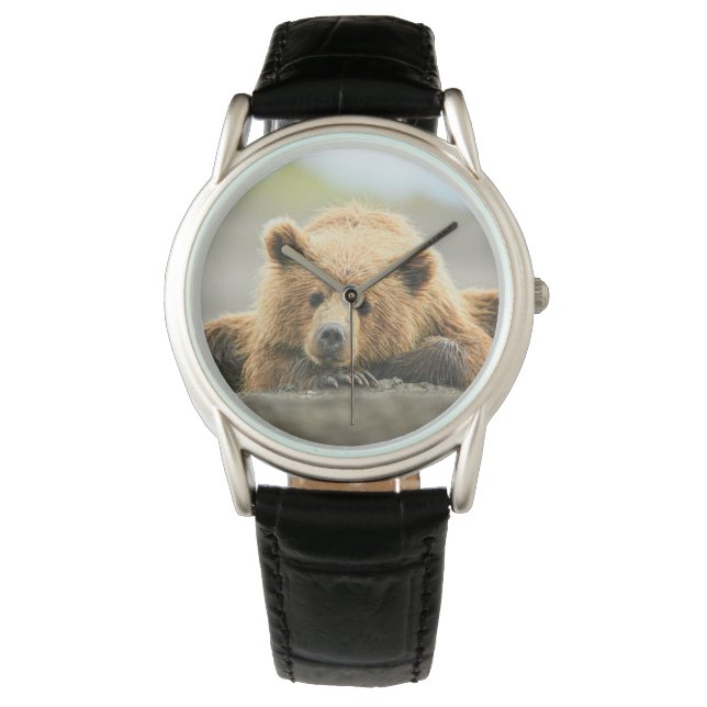 Montre Animaux de bébés cutest | Cub d'ours Brown côtier (devant)