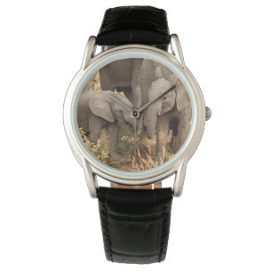 Montre Animaux de bébés cutest Deux jeunes éléphants