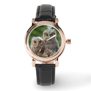 Montre Animaux de bébés cutest Deux jeunes hiboux