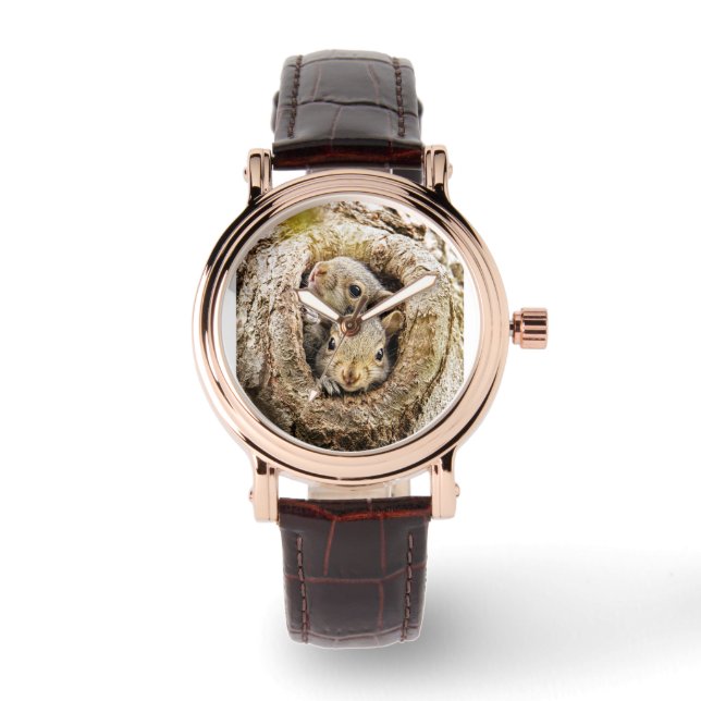 Montre Animaux de bébés cutest | Écureuils curieux (Recto)