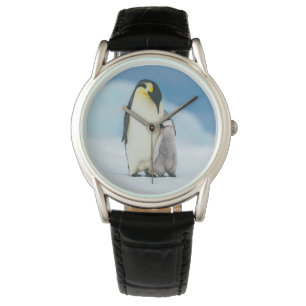 Montre Animaux de bébés cutest   Empereur Penguin Chick