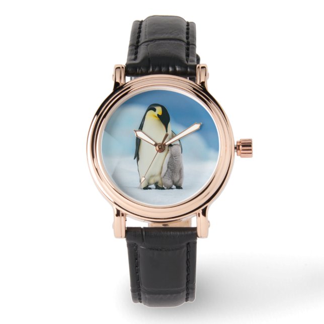 Montre Animaux de bébés cutest | Empereur Penguin Chick (Recto)