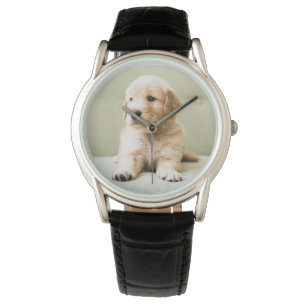 Montre Animaux de bébés cutest Golden Retriever Puppy