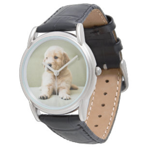 Montre Animaux de bébés cutest   Golden Retriever Puppy