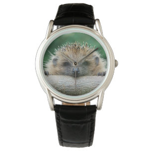 Montre Animaux de bébés cutest Hedgehog Smile