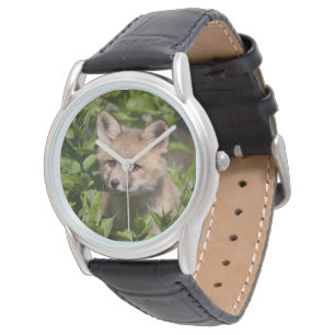 Montre Animaux de bébés cutest   Kit Fox