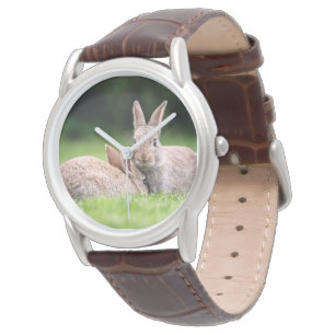Montre Animaux de bébés cutest   Lapins de lapin sauvage