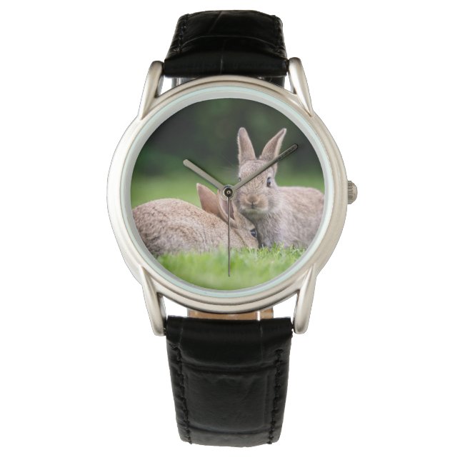 Montre Animaux de bébés cutest | Lapins de lapin sauvage (devant)