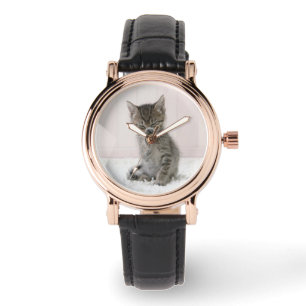 Montre Animaux de bébés cutest   Licking Tabby Kitten