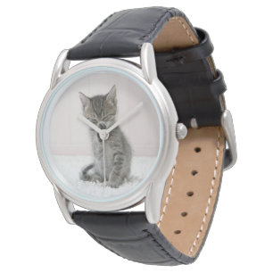Montre Animaux de bébés cutest   Licking Tabby Kitten