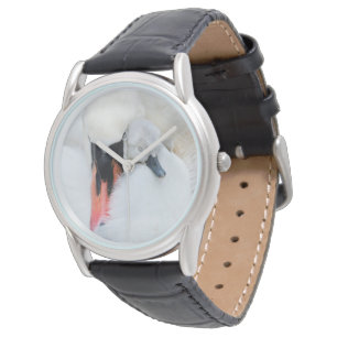 Montre Animaux de bébés cutest Mère et bébé Mute Swan