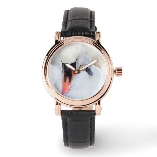 Montre Animaux de bébés cutest | Mère et bébé Mute Swan (Recto)